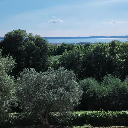 Hopfen Appartamento