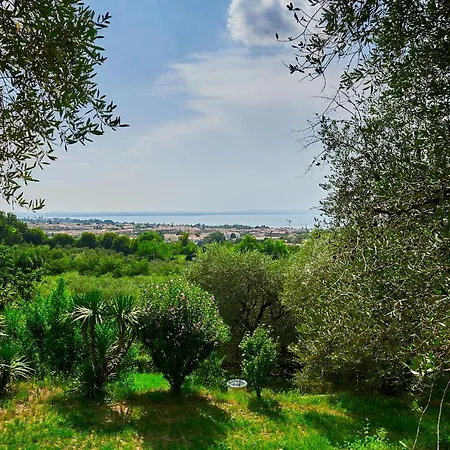 Hopfen Lazise
