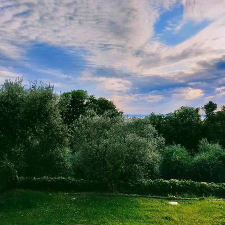 公寓 Hopfen 拉齐塞